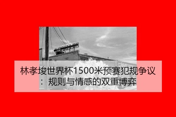 lin-xiao-jun-shi-jie-bei-mi-yu-sai-fan-gui-zheng-yi-gui-ze-yu-qing-gan-de-shuang-chong-bo-yi-2-994.jpg
